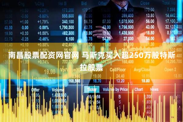 南昌股票配资网官网 马斯克买入超250万股特斯拉股票