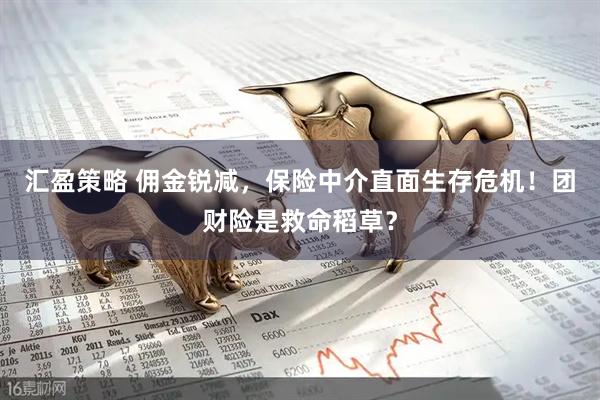 汇盈策略 佣金锐减，保险中介直面生存危机！团财险是救命稻草？